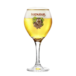 VERRE LUPULUS 6*33CL