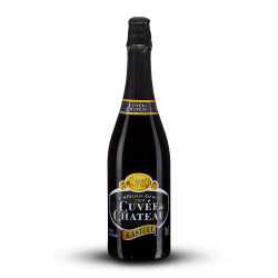 BIERE - NOIRE - KASTEEL CUVEE CHATEAU - Belgique