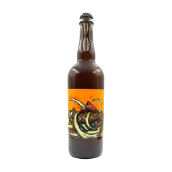 NAUTILE PALE ALE BIO_BLONDE_0.75