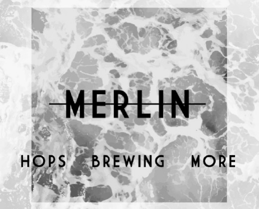 BRASSERIE MERLIN